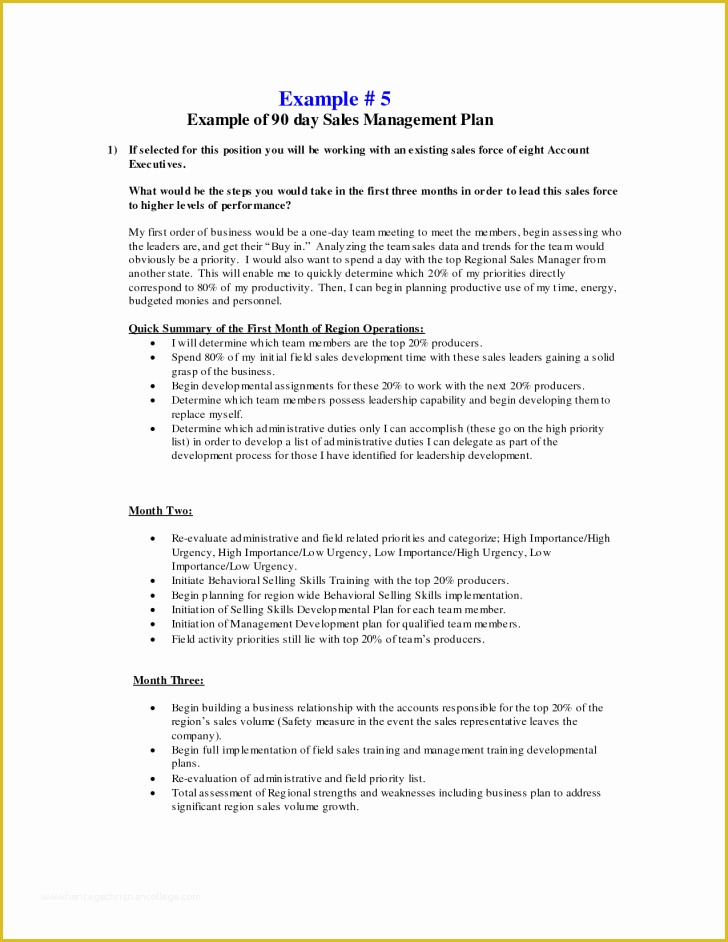 30 60 90 Day Sales Plan Template Free Sample Of Plan 30 60 90 Day Plan Template