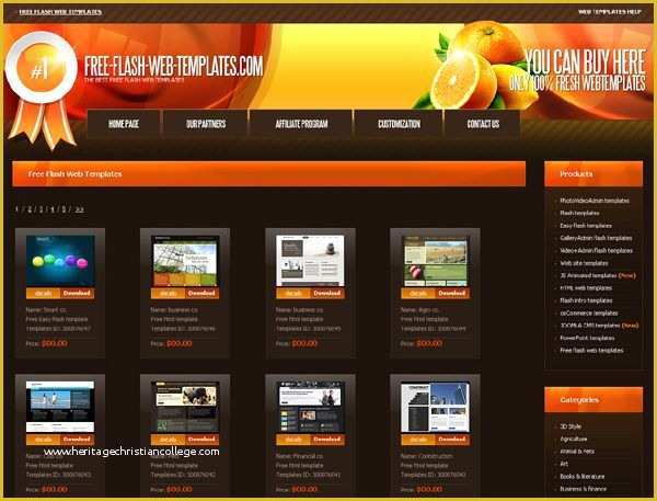 3d-flash-website-templates-free-download-of-flash-template-187