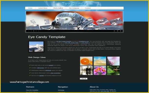 3d Flash Website Templates Free Download Of Free Website Templates Download Février 2012