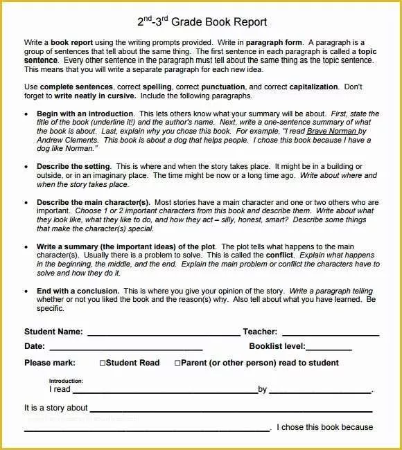 37 3rd Grade Book Report Template Free