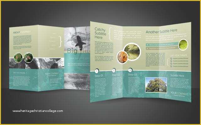 A4 Size Brochure Templates Psd Free Download Of 40 Best Corporate Brochure Print Templates Of 2013