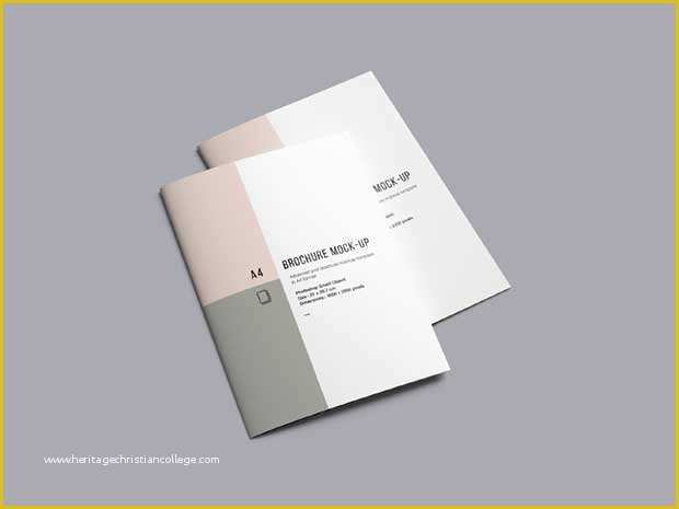A4 Size Brochure Templates Psd Free Download Of 55 Best Free Brochure Mockup Psd Templates Download