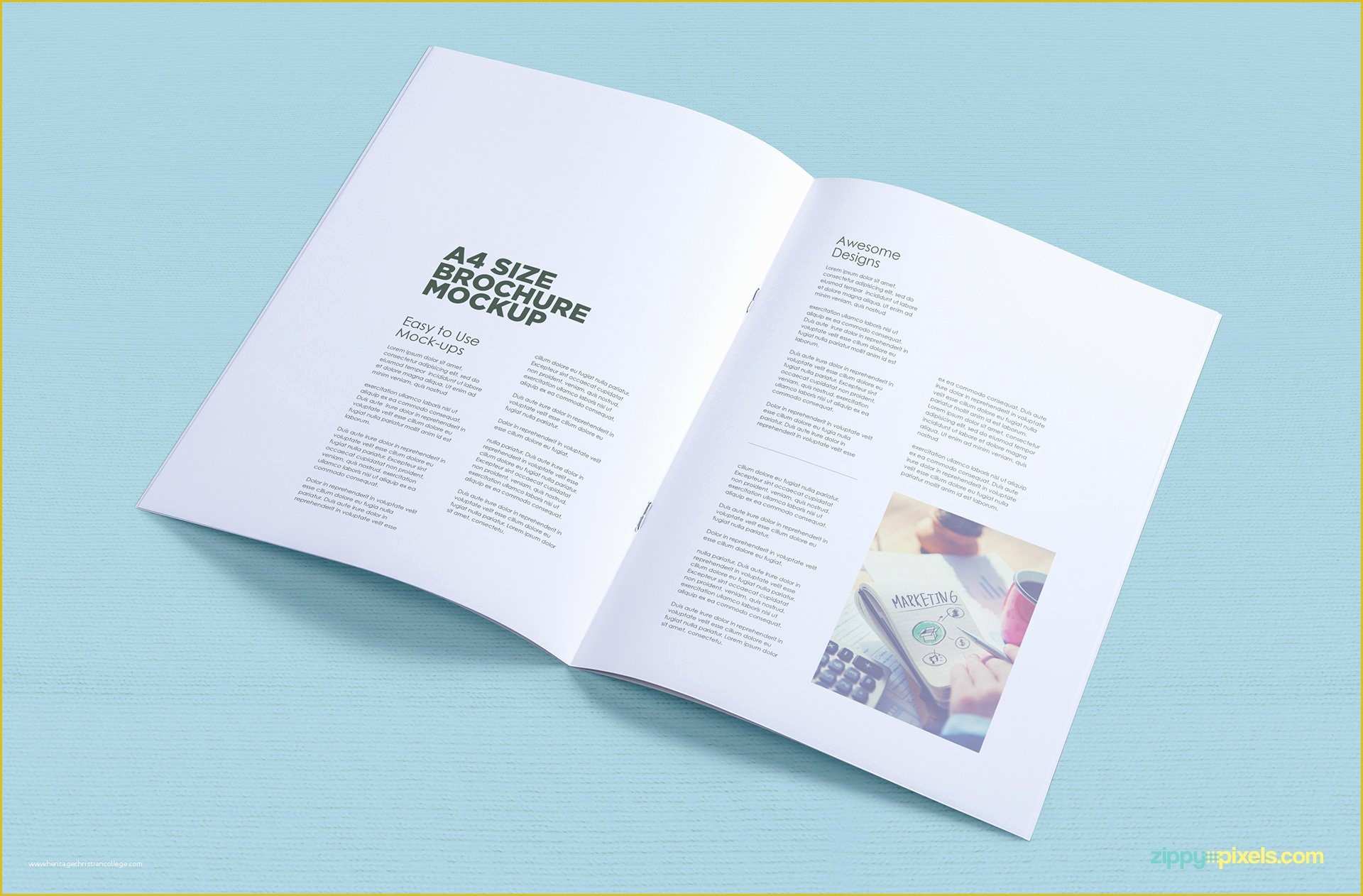 A4 Size Brochure Templates Psd Free Download Of A4 Brochure Mockup Free Psd Download