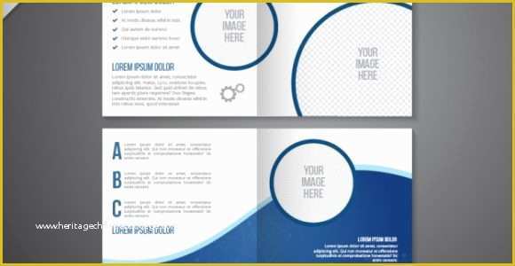 A4 Size Brochure Templates Psd Free Download Of A4 Size Brochure Templates Psd Free Tadlifecare