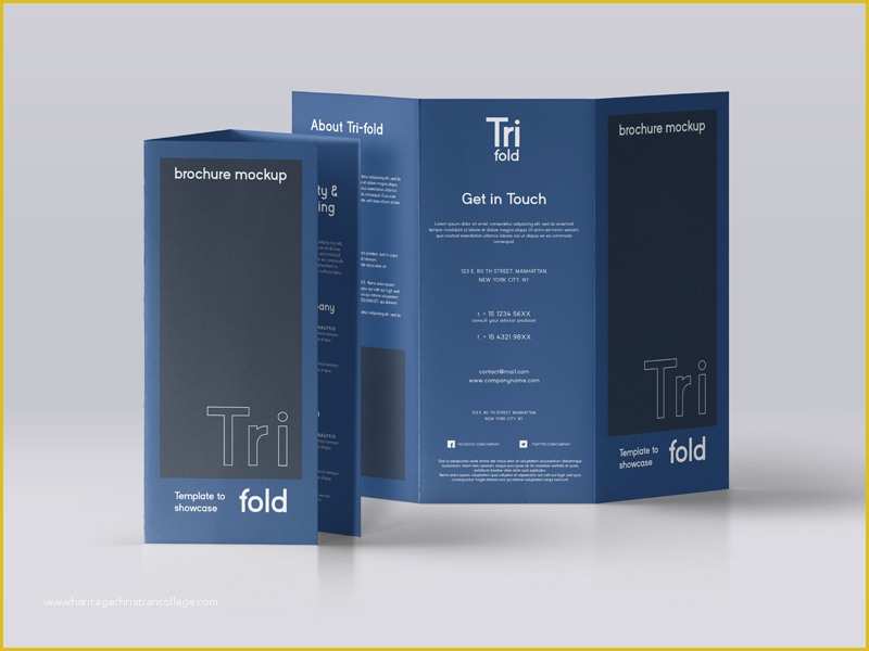 A4 Size Brochure Templates Psd Free Download Of Free Mockup