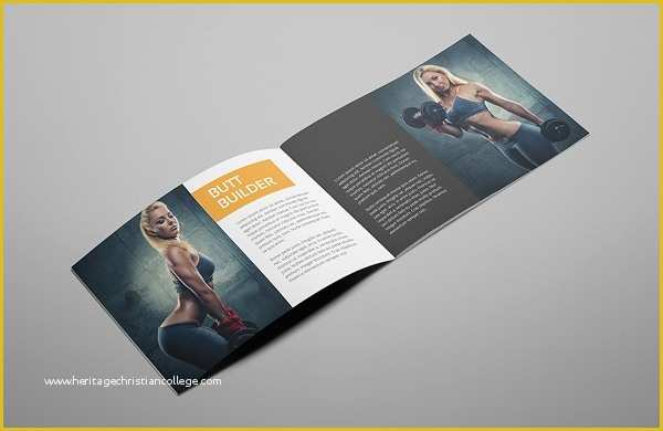 A5 Size Brochure Templates Psd Free Download Of 17 Gym Brochure Templates Free Psd Ai Vector Eps