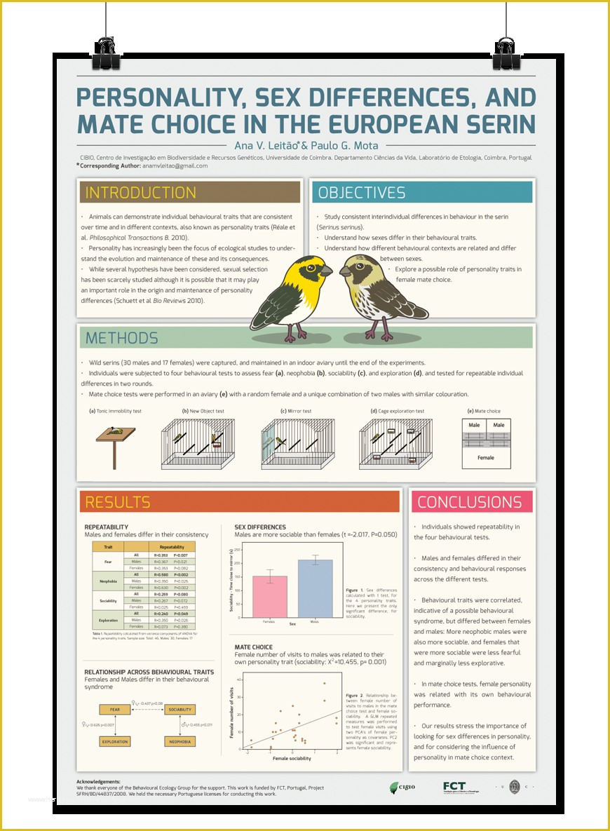 Academic Poster Template Free Of Best 25 Scientific Poster Design Ideas On Pinterest