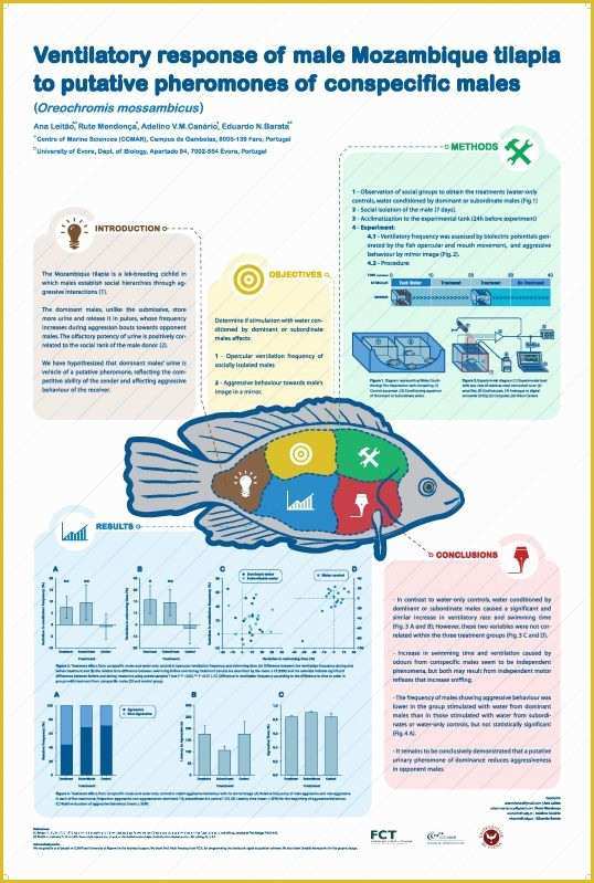 Academic Poster Template Free Of Scientific Poster by Osvaldo Branquinho Via Behance