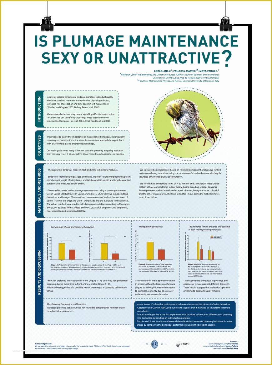 Academic Poster Template Free Of Scientific Poster On Behance …