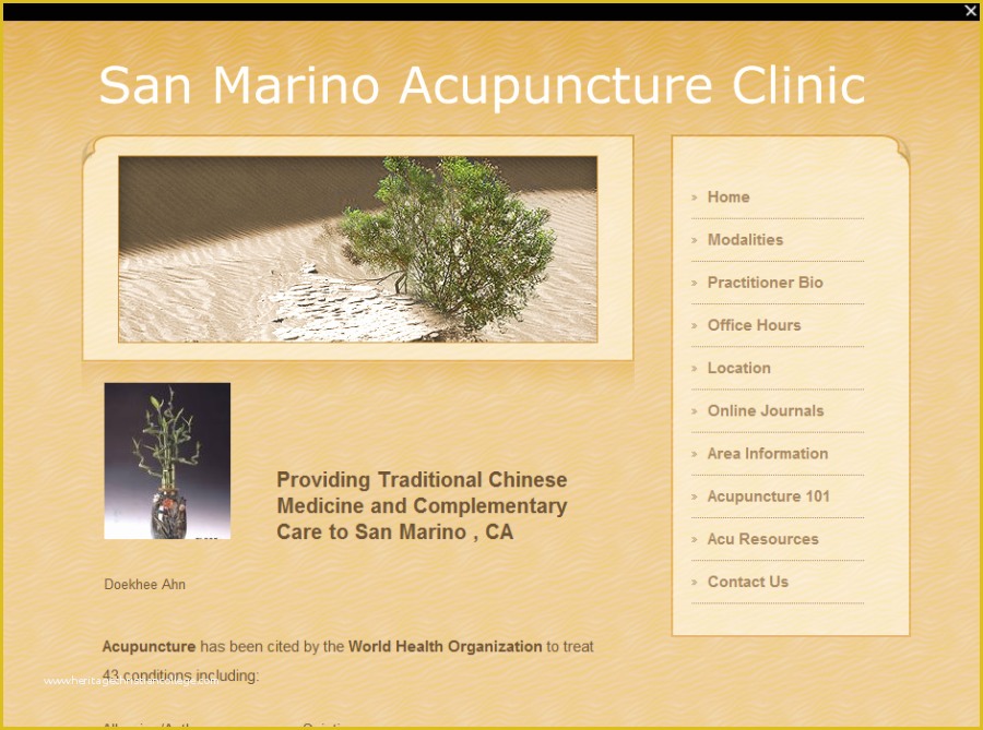 Acupuncture Website Template Free Of Acupuncture Website Templates