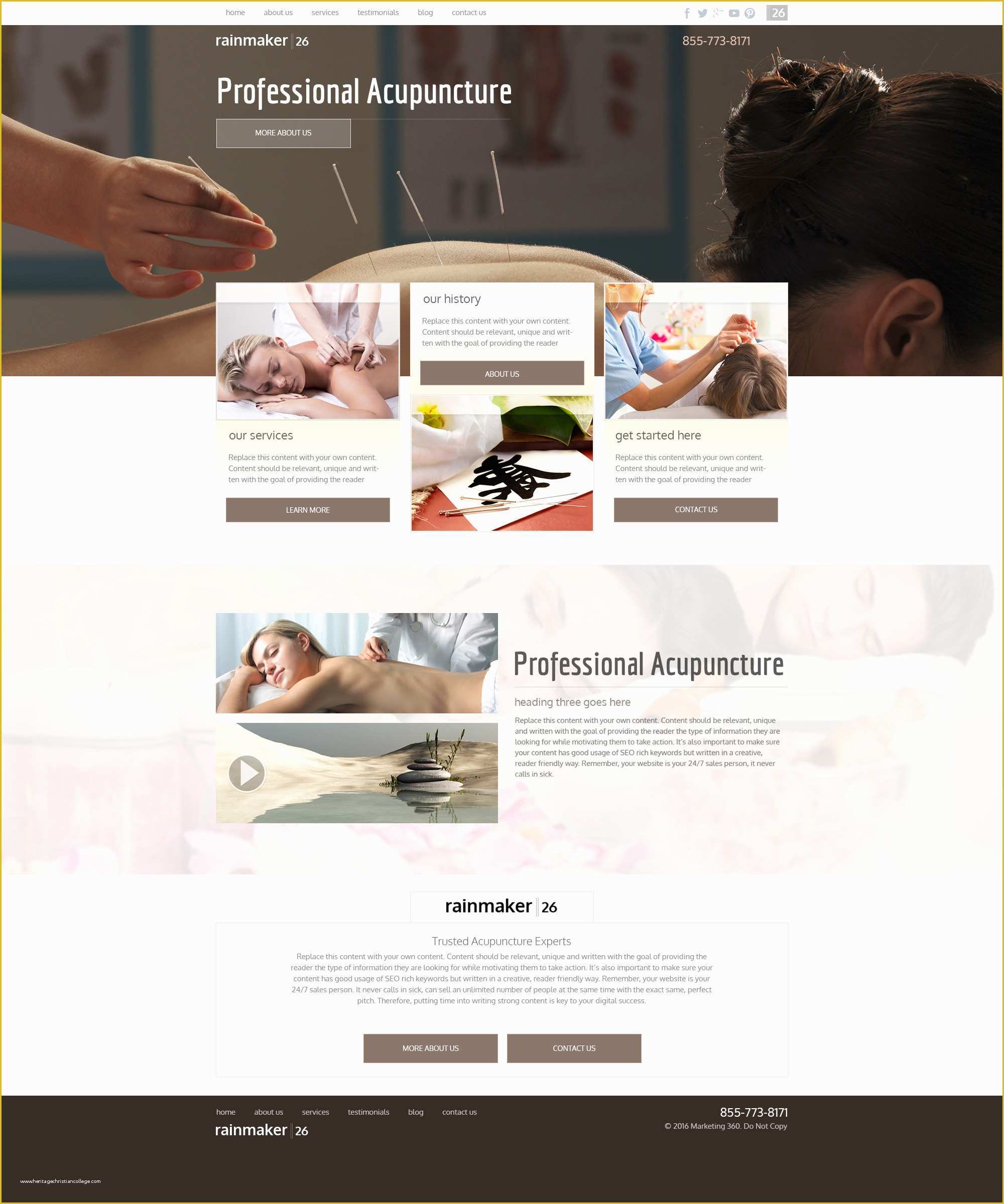 Acupuncture Website Template Free Of Acupuncture Websites Premium Business Website Templates