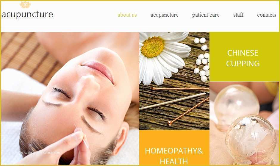 Acupuncture Website Template Free Of top 20 Acupuncture Wordpress Templates Best 20 Wordpress