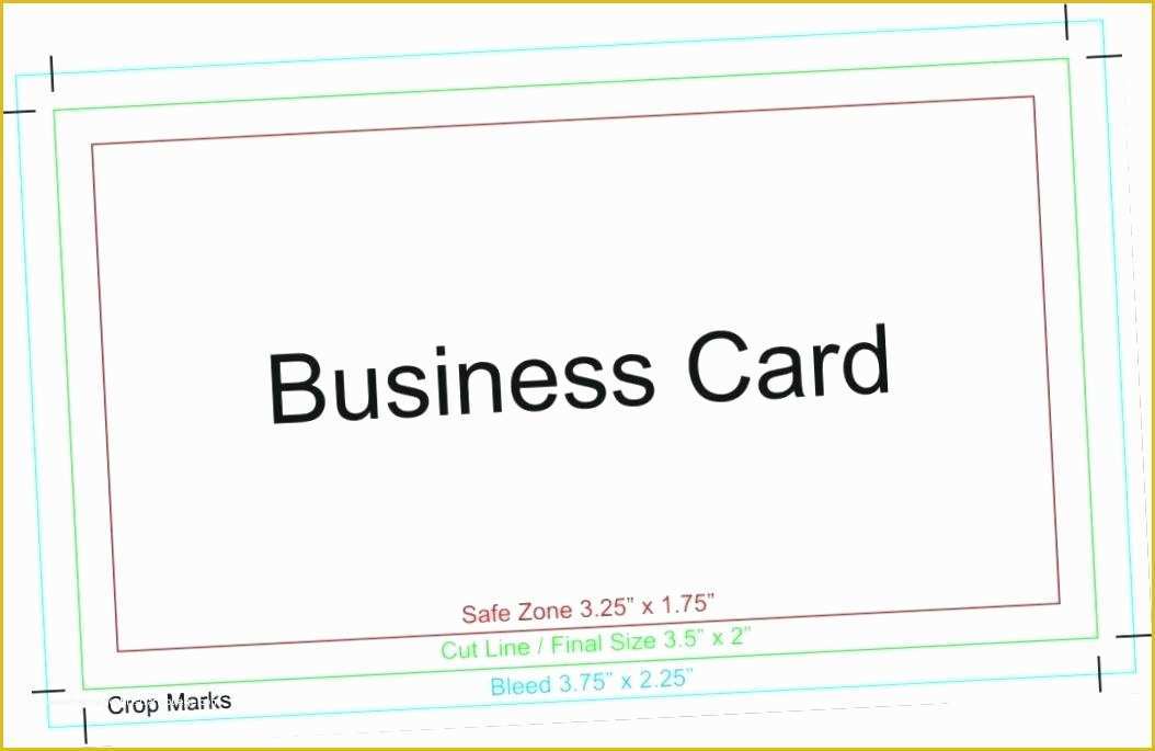 Adobe Business Card Template Free Of Business Card Size Template Illustrator Free Download