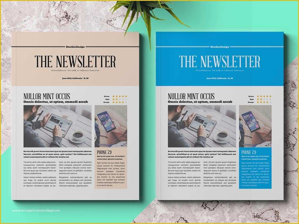 Adobe Indesign Templates Free Of Business Newsletter Template