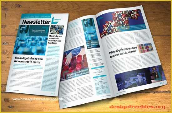 Adobe Indesign Templates Free Of Free Newsletter Templates [email Templates] the Grid System