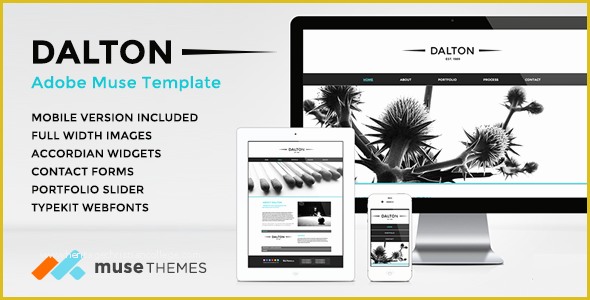 Adobe Muse Portfolio Templates Free Of 32 Best Adobe Muse Graphy Portfolio Templates