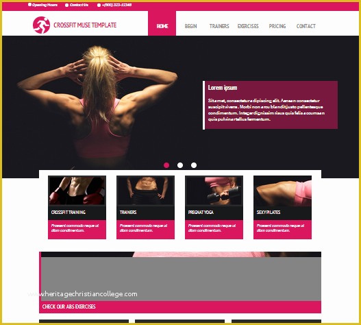 Adobe Muse Responsive Templates Free Of 100 Best Responsive Adobe Muse Templates