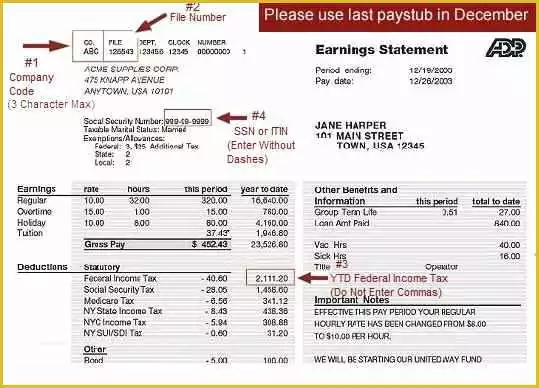 Adp Paycheck Stub Template Free Of Download 43 Adp Pay Stub Template Free Sample