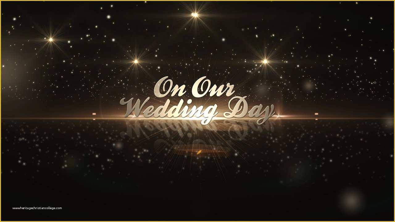 After Effects Commercial Template Free Of after Effects Template Golden Wedding Pack