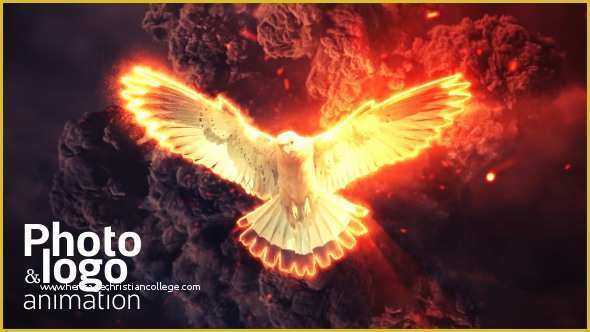 After Effects Explosion Template Free Of Videohive Fire Explosion Logo & Photo Animation Free