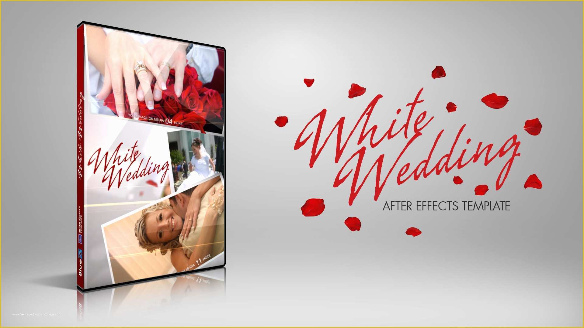 After Effects Holiday Templates Free Of after Effects Template White Wedding