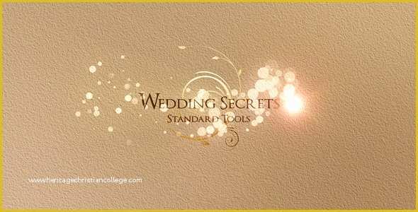 After Effects Holiday Templates Free Of Wedding Secrets by Flashato