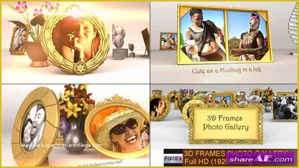 After Effects Photo Gallery Template Free Of 3d Frames Gallery after Effects Project Videohive