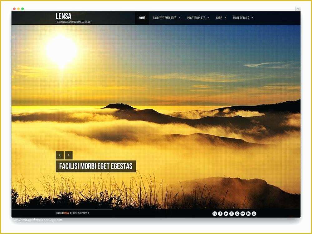 After Effects Photo Gallery Template Free Of Gallery Template Free Download Parallax Responsive