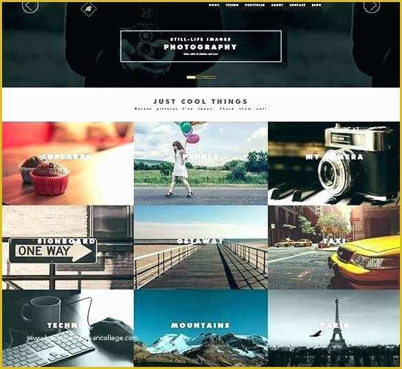 After Effects Photo Gallery Template Free Of Graphy Website Design Templates Free Flash