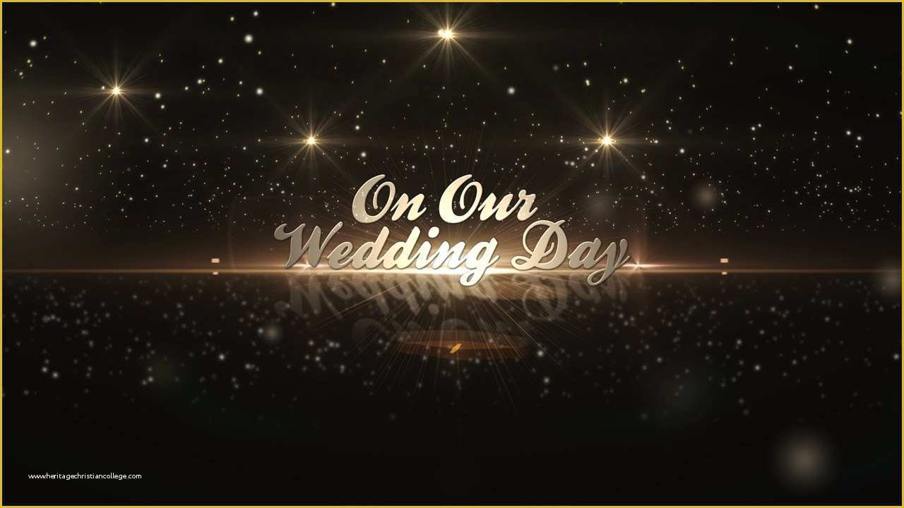 After Effects Project Files and Templates Free Download Of after Effects Template Golden Wedding Pack