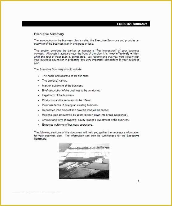 Agriculture Business Plan Template Free Of 9 Business Plan Free Template Sampletemplatess