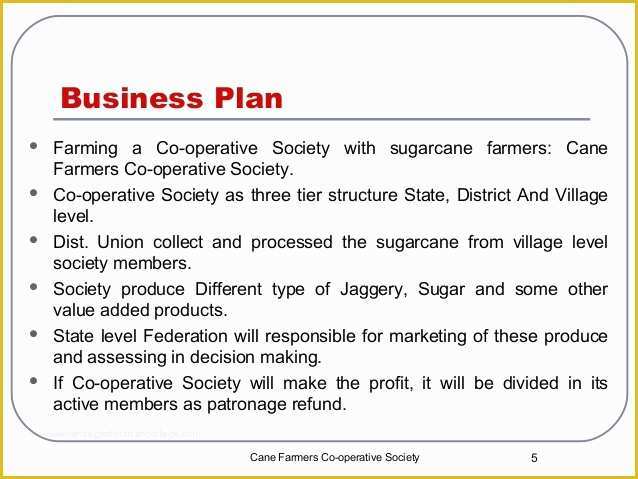 Agriculture Business Plan Template Free Of Co Operative Business Plan Group 1