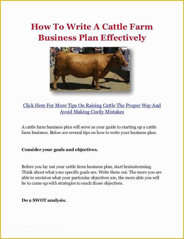 Agriculture Business Plan Template Free Of How to Write A Cattle Farm Business Plan Effectively