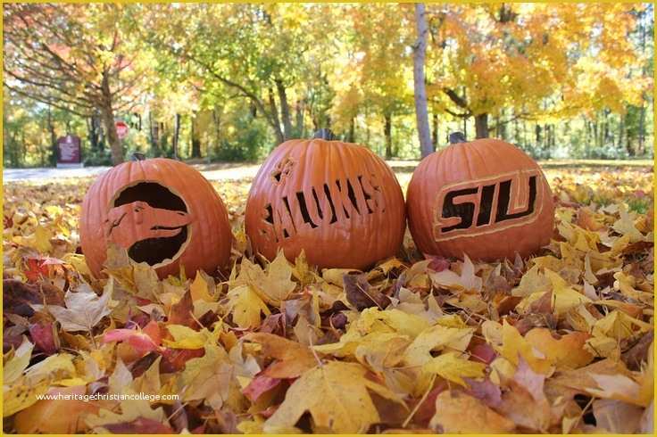 Alumni association Website Templates Free Download Of 15 Best Siu Salukis Images On Pinterest