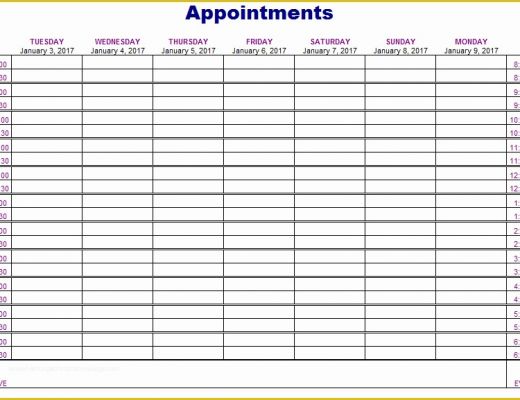 Appointment Book Template Free Printable Of Appointment Schedule Template 5 Free Templates