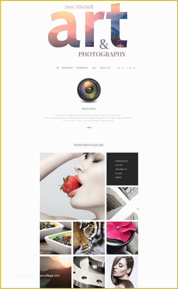 Art Gallery Websites Templates Free Of 16 Art Gallery Website Templates & themes