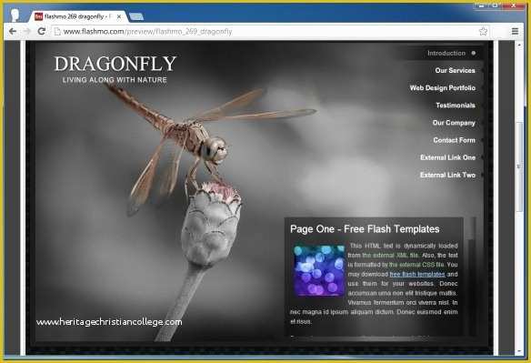 Article Website Template Free Download Of Download Free Flash Templates at Flashmo