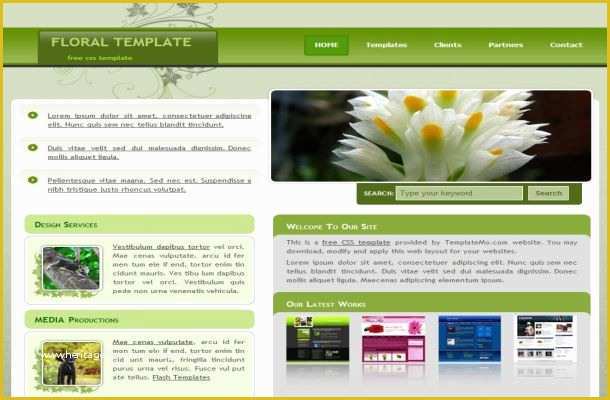 Article Website Template Free Download Of Free Floral Green Css HTML Website theme Template Free