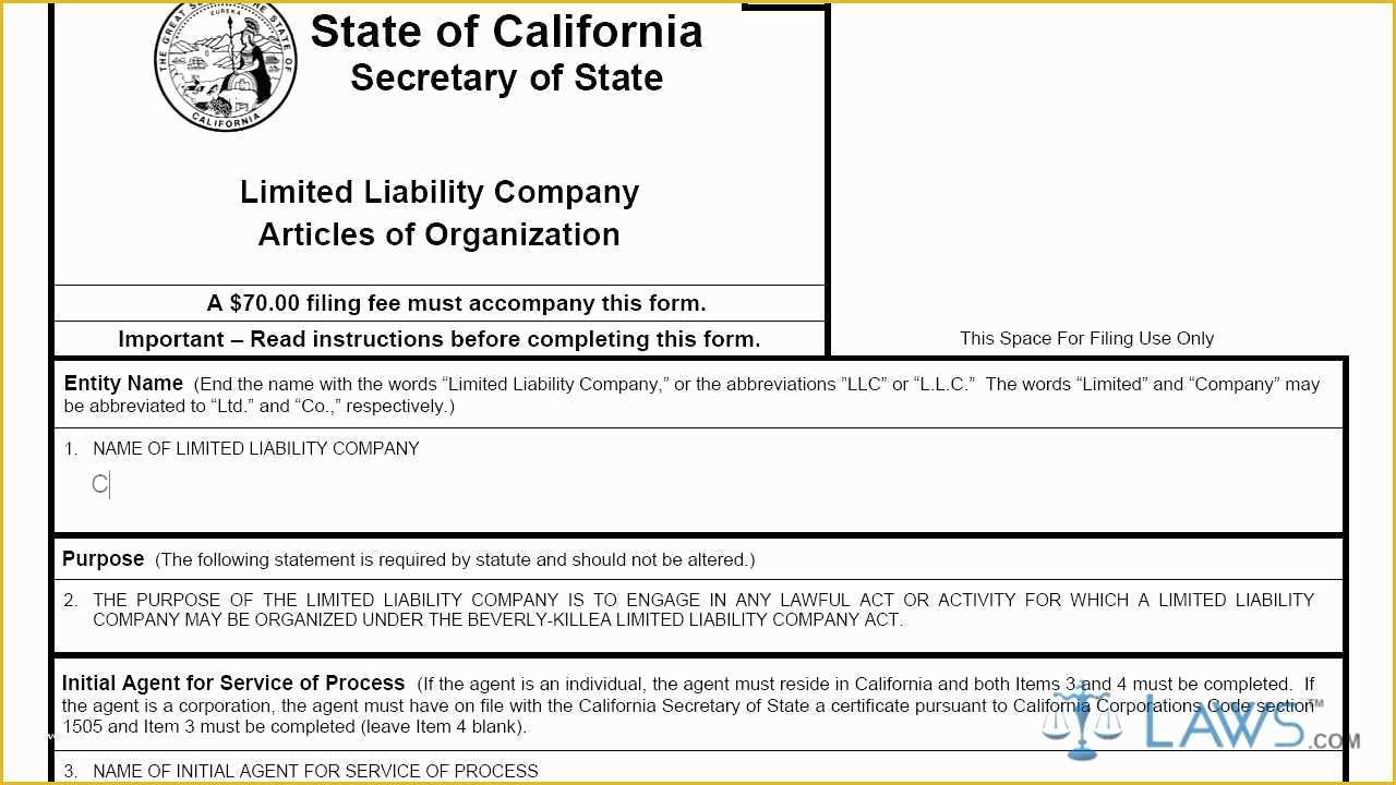 Articles Of organization Template Free Of Articles Of organization Ca Llc 1