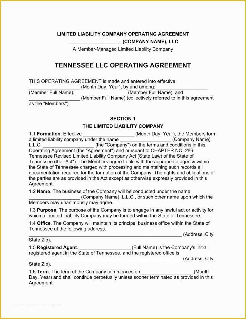 Articles Of organization Template Free Of Articles organization Llc Template Tennessee
