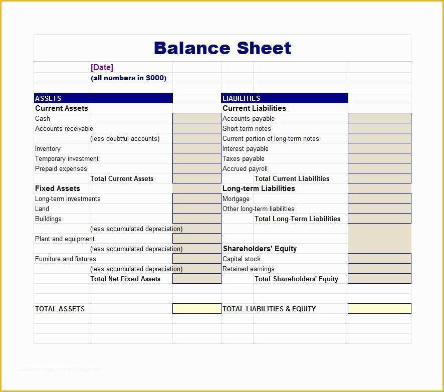 Assets and Liabilities Template Free Download Of 38 Free Balance Sheet Templates &amp; Examples Template Lab