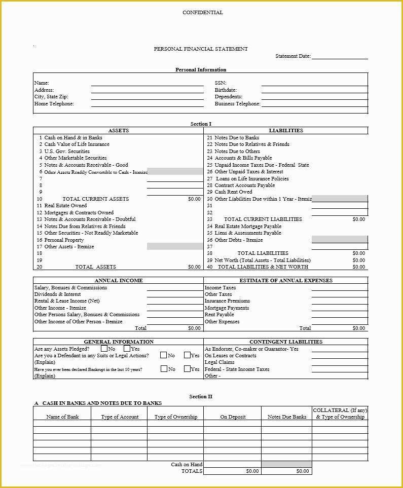 Assets and Liabilities Template Free Download Of 40 Personal Financial Statement Templates &amp; forms
