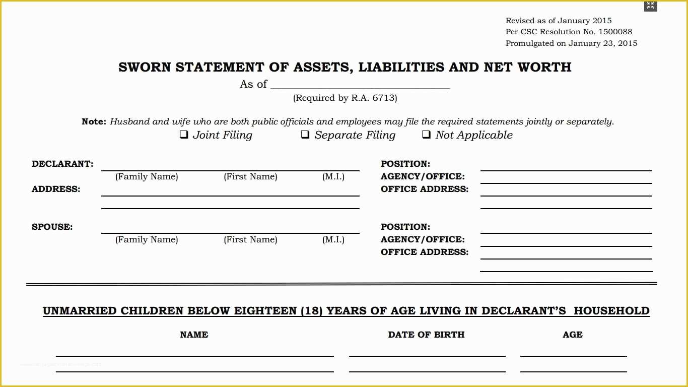Assets and Liabilities Template Free Download Of Statement Of assets Liabilities and Net Worth Saln form