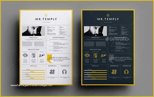 Awesome Resume Templates Free Of 30 Best Resume Template Designs 2015
