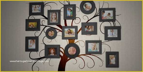 Baby Photo Album after Effects Project Template Free Of Family Tree Album by Enakentii