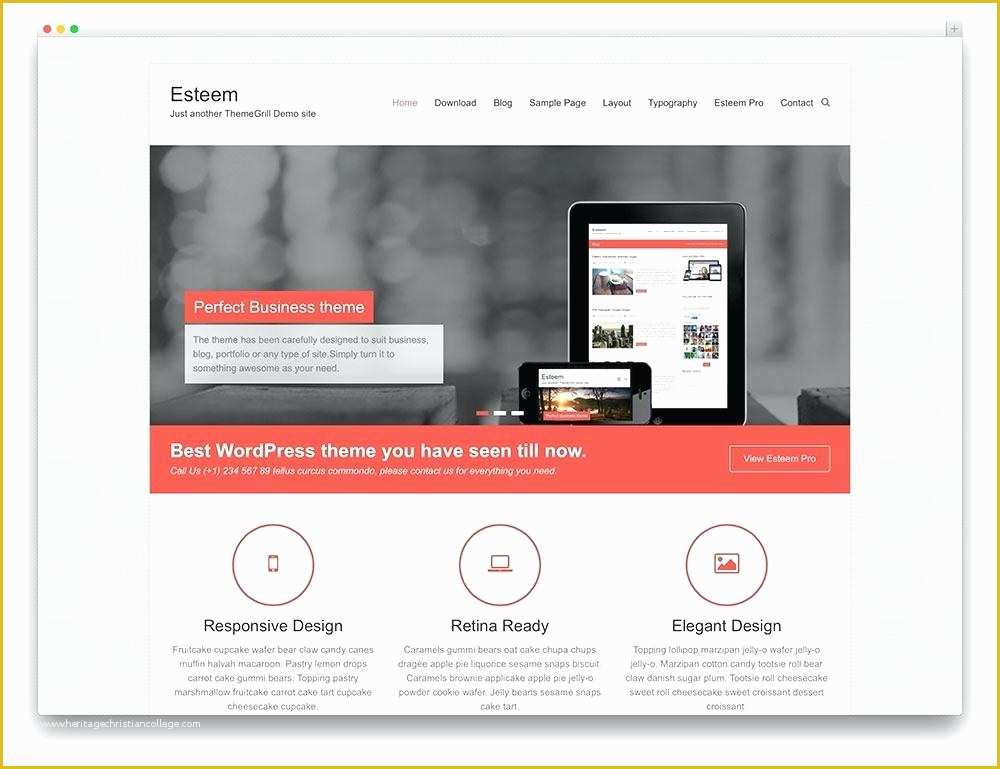Basic Website Templates Free Download Of Basic Template Free Convert Your theme to Simple Shopping