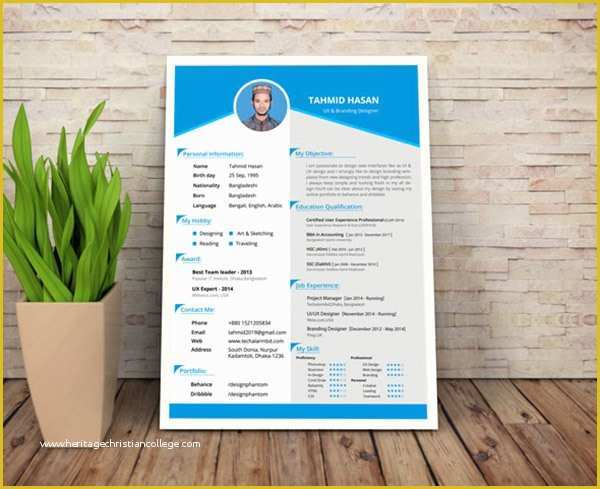 Beautiful Resume Templates Free Of attractive Resume Templates Free Download