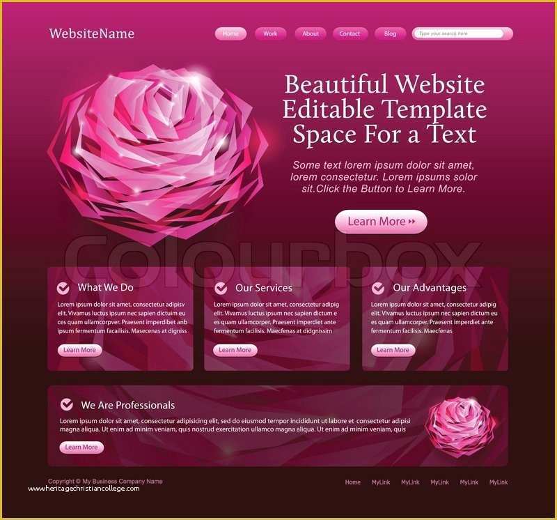 Beauty Products Website Templates Free Download Of Beauty Website Template for Woman Beauty Products Salons