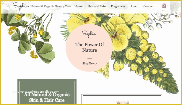 Beauty Products Website Templates Free Download Of Health & Beauty Website Templates Line Store