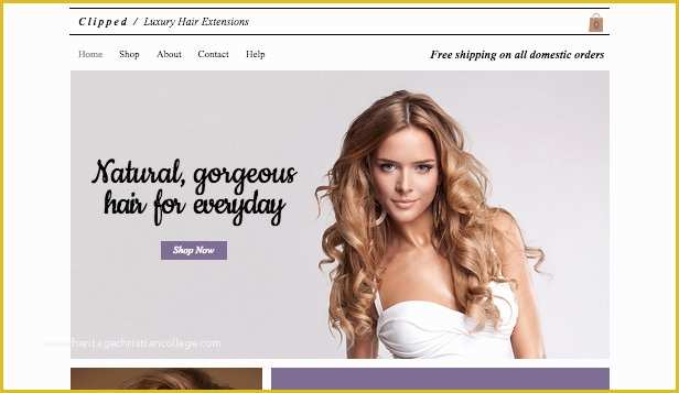 Beauty Products Website Templates Free Download Of Line Store Website Templates